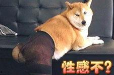 搞笑啦第42期,笑料横生，欢乐无限！