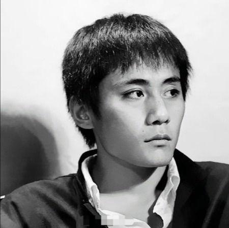 刘烨年轻时照片,从青涩少年到魅力大叔的蜕变之路