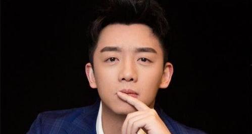 演员的背景谁厉害,揭秘背景深厚，实力非凡的璀璨明星